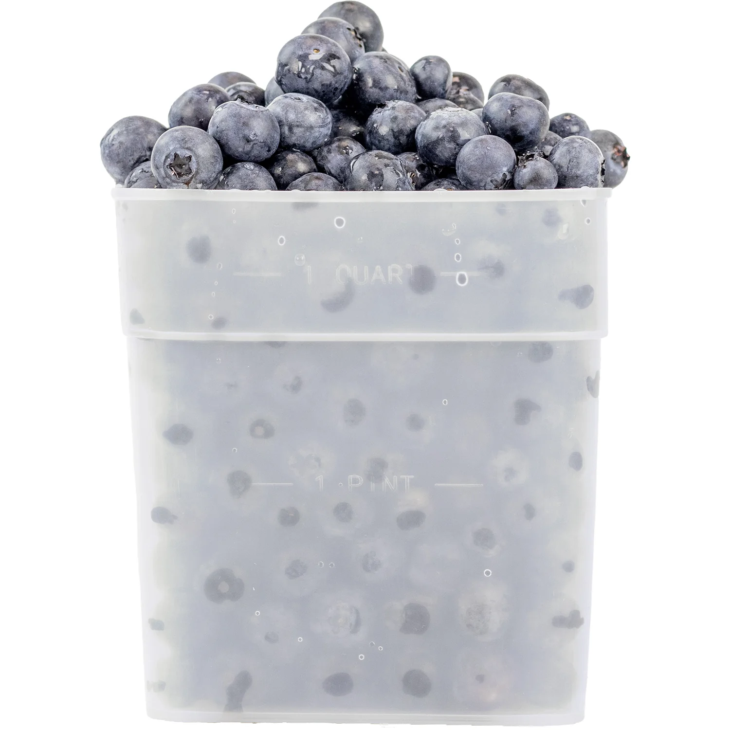 Quart Size Freezer Boxes 6 Pack FT4300 1 QT - Image 3