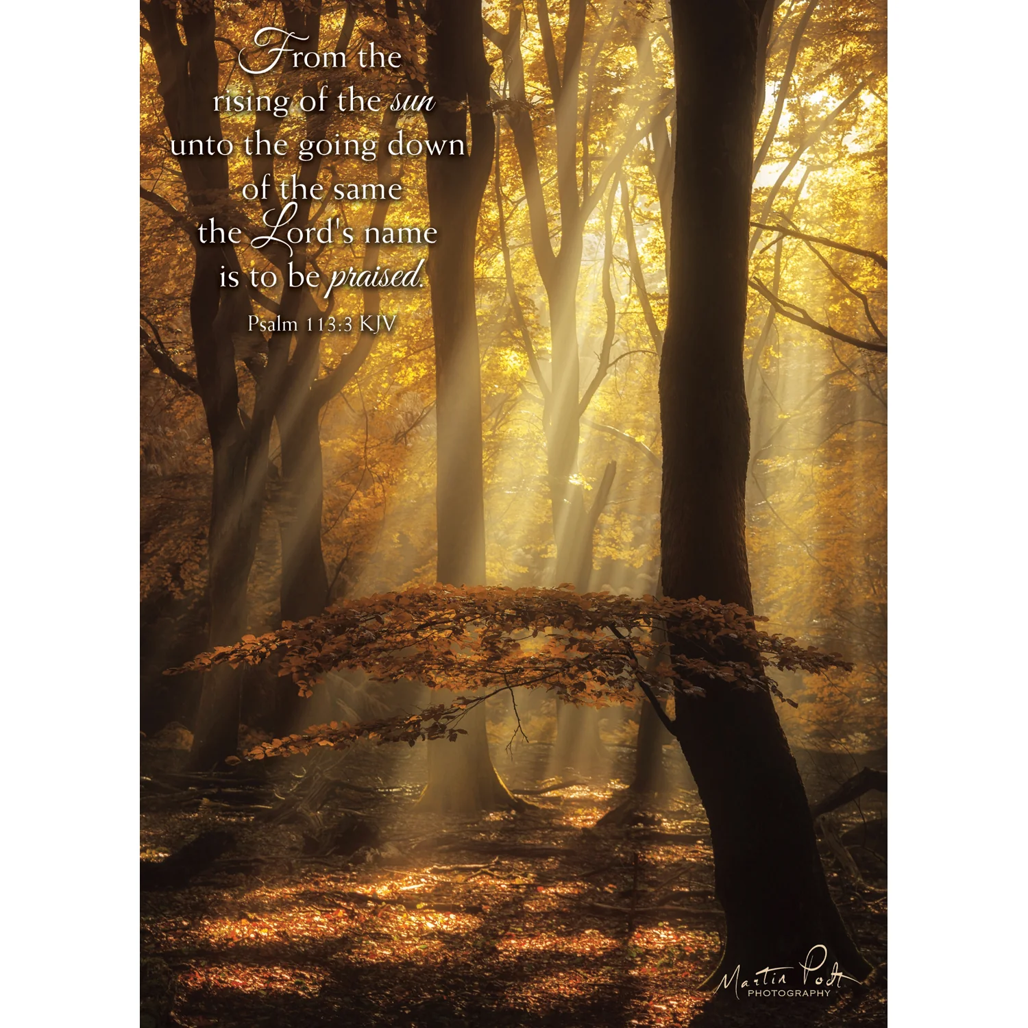 Rays of Light Birthday Boxed Cards SBEG22358 - Image 2