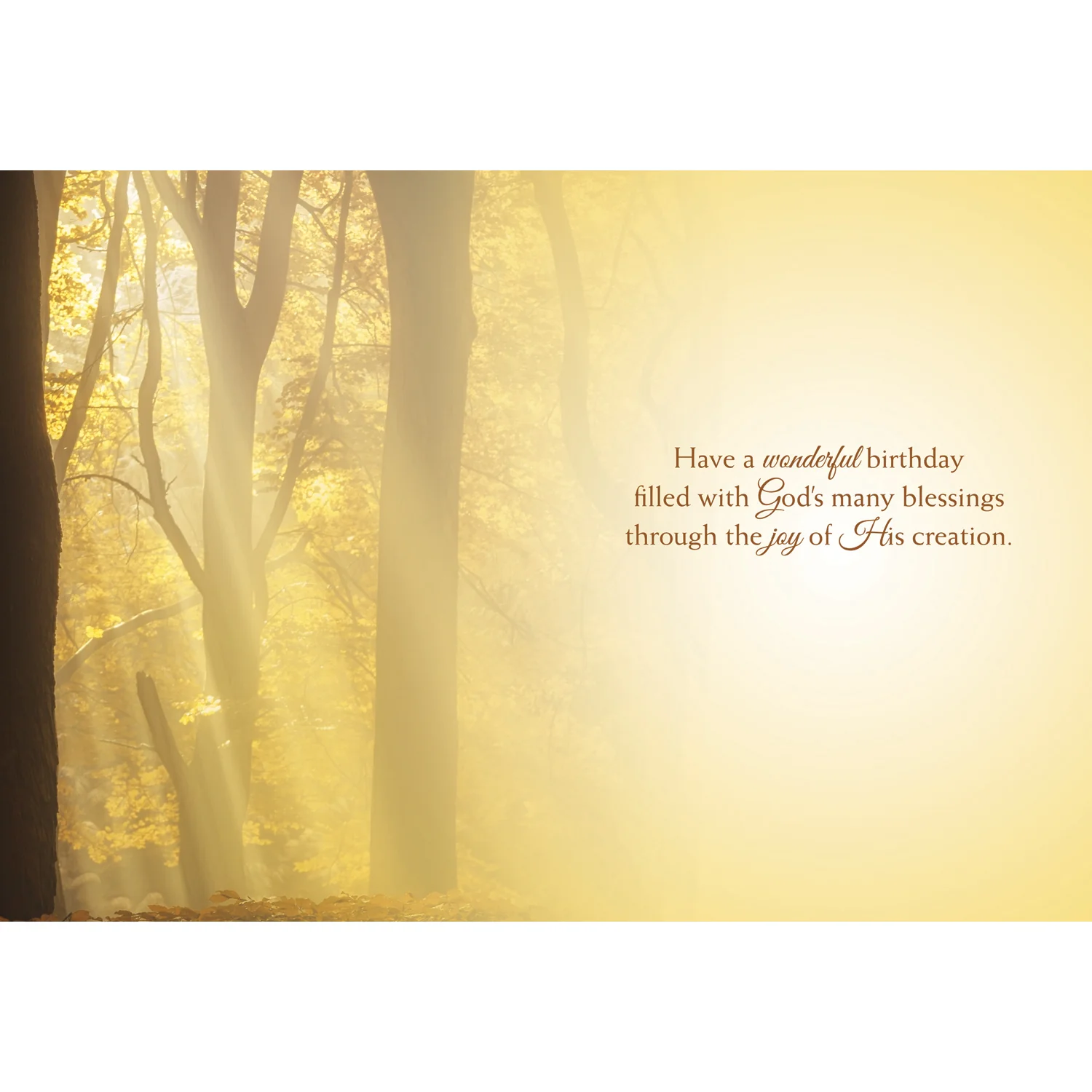 Rays of Light Birthday Boxed Cards SBEG22358 - Image 3