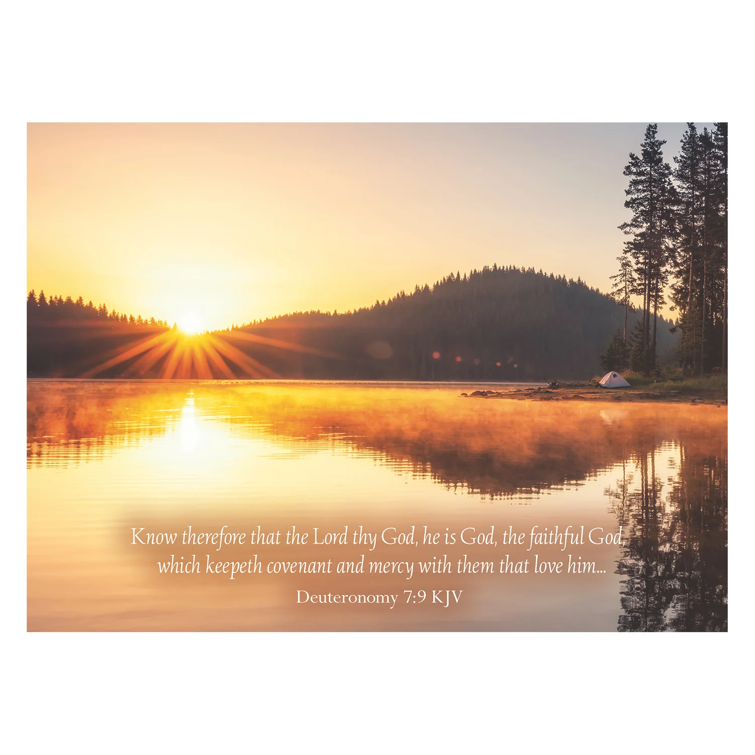 Rays of Light Praying For You Boxed Cards FT22727 - Image 8