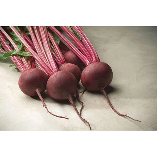 Red Ace Hybrid Beets Seed Pack 9900400
