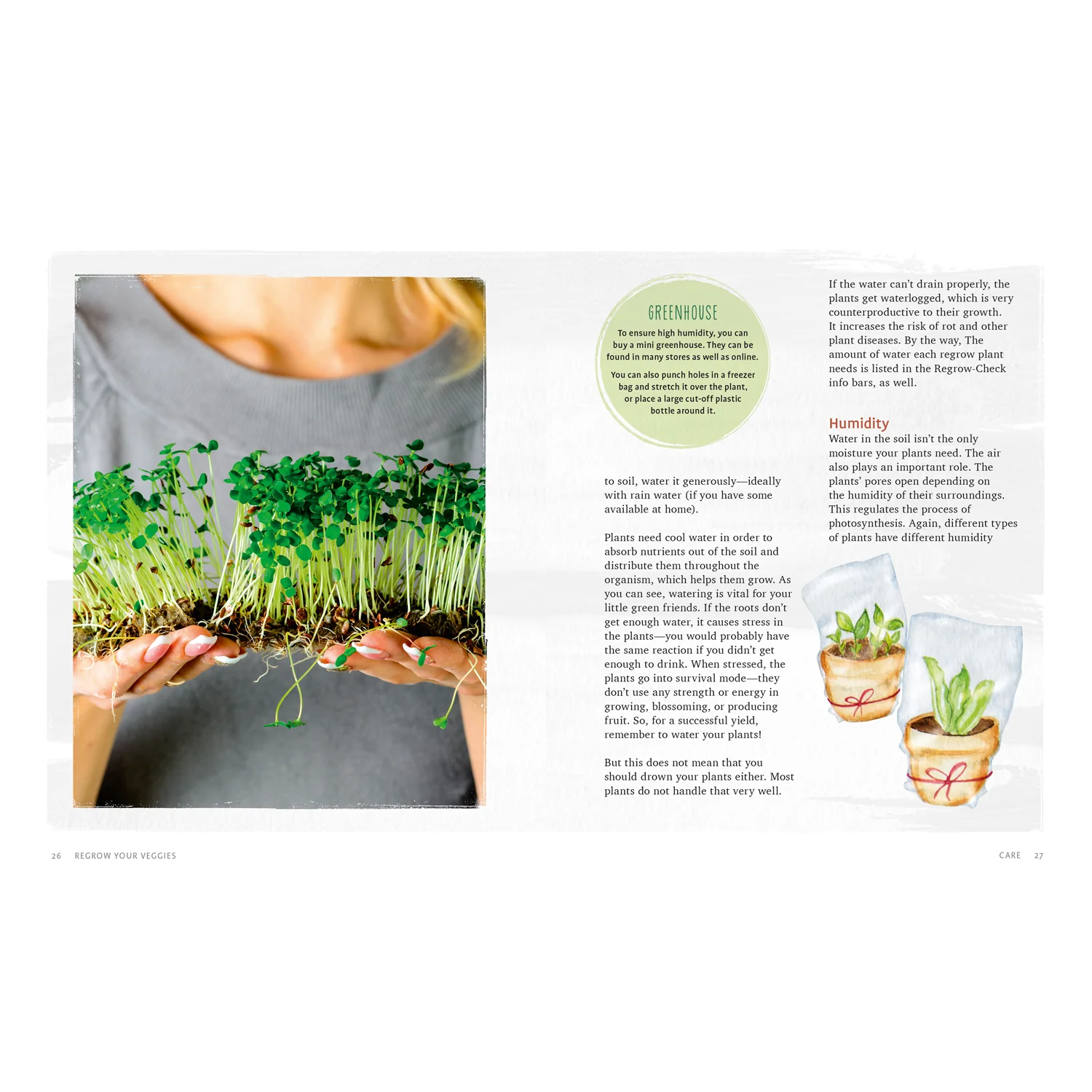Regrow Your Veggies Book 9781620083680 - Image 3