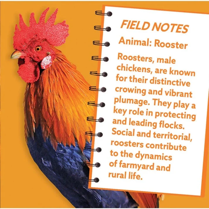 Rooster 100 Piece Shaped Jigsaw Puzzle 12517 - Image 2