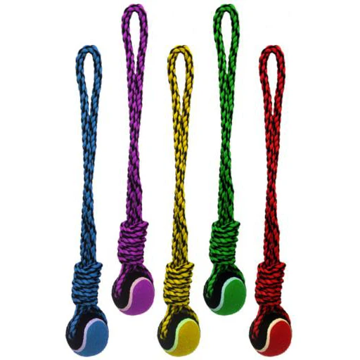 Rope Dog Toy