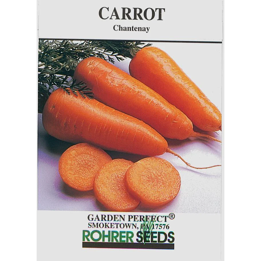 Royal Chantenay Carrot Seed Pack 9902700