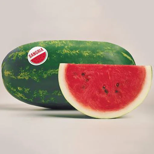 Sangria Watermelon Seed 9913300