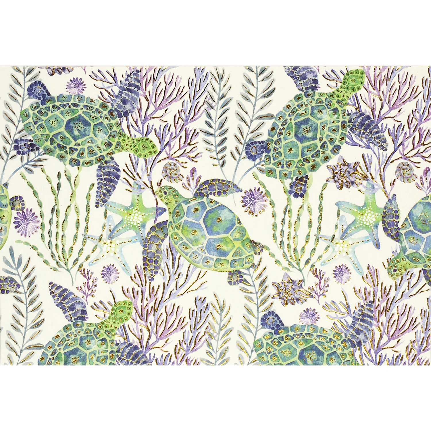 Sea Turtles Boxed Everyday Note Cards Set 332714