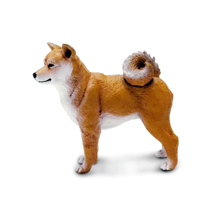 Shiba Inu 100596