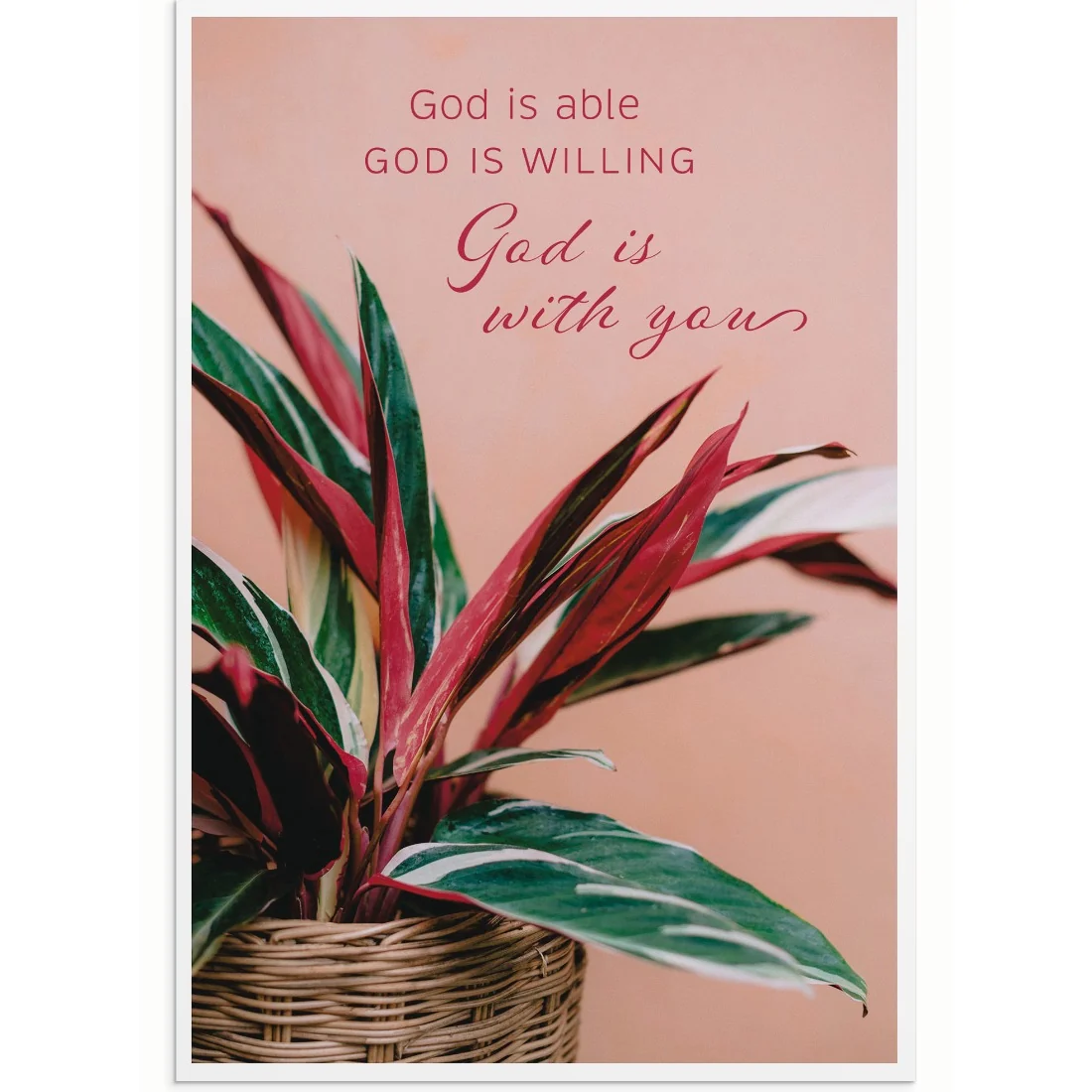 Simple Plants Encouragement Boxed Cards U0064 - Image 3