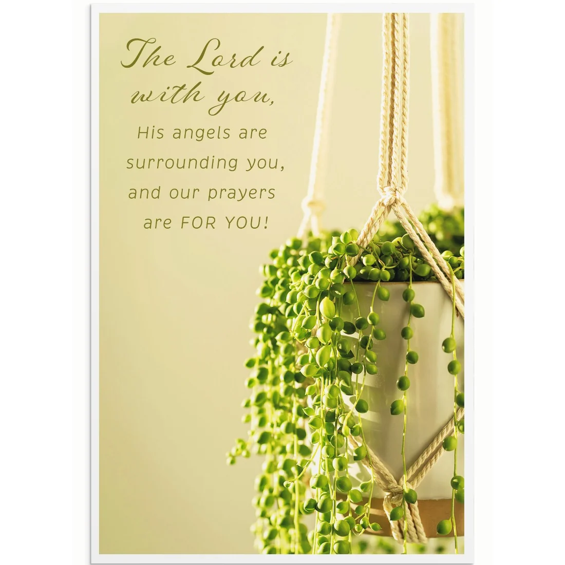 Simple Plants Encouragement Boxed Cards U0064 - Image 4