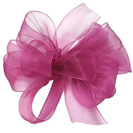 Simply Sheer Asiana Ribbon by the Yard - Image 4