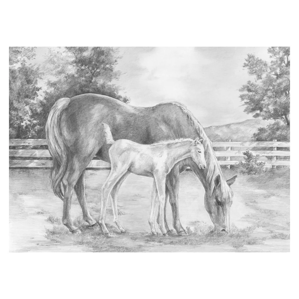 Sketching Made Easy Horse & Colt SKBNL8