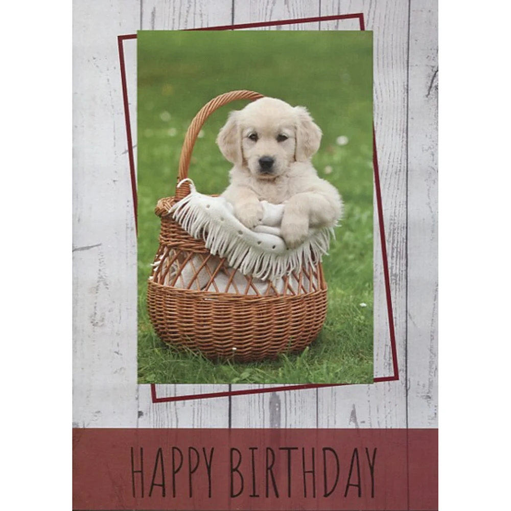 Small Creatures Birthday Boxed Cards FT22576 - Image 2