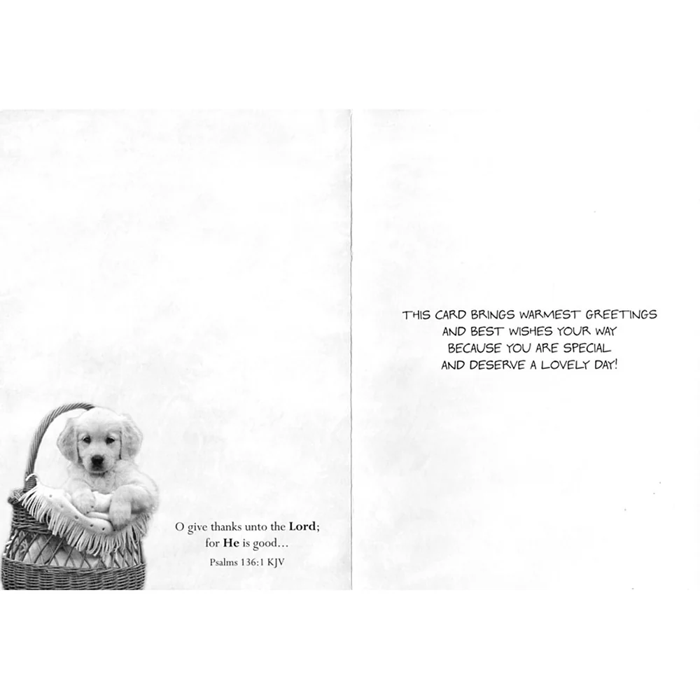 Small Creatures Birthday Boxed Cards FT22576 - Image 3