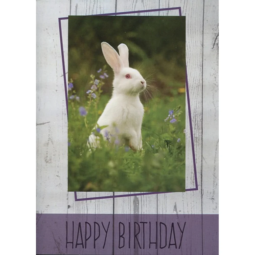 Small Creatures Birthday Boxed Cards FT22576 - Image 4