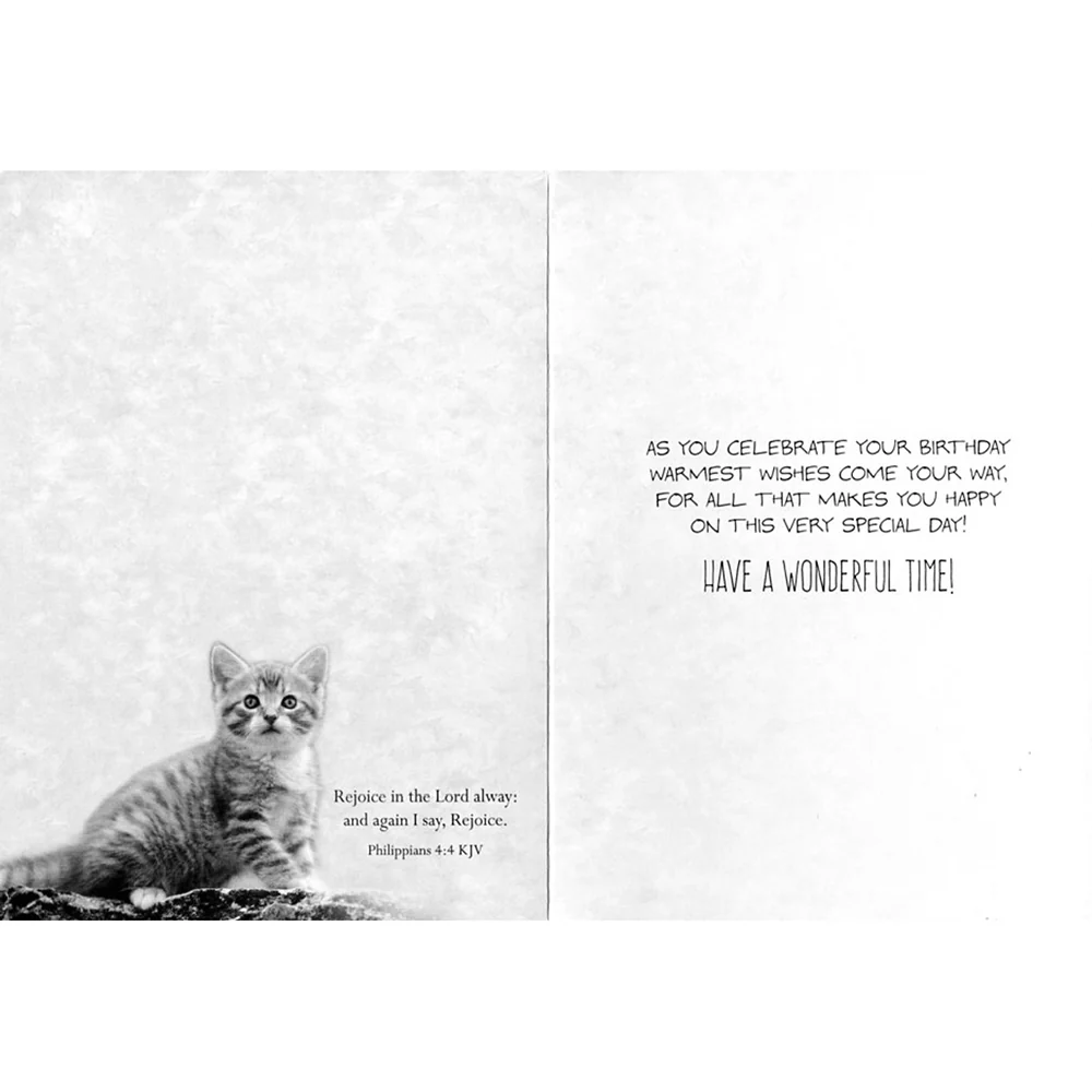 Small Creatures Birthday Boxed Cards FT22576 - Image 7