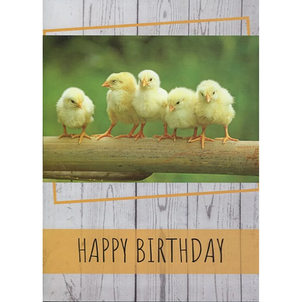 Small Creatures Birthday Boxed Cards FT22576 - Image 8