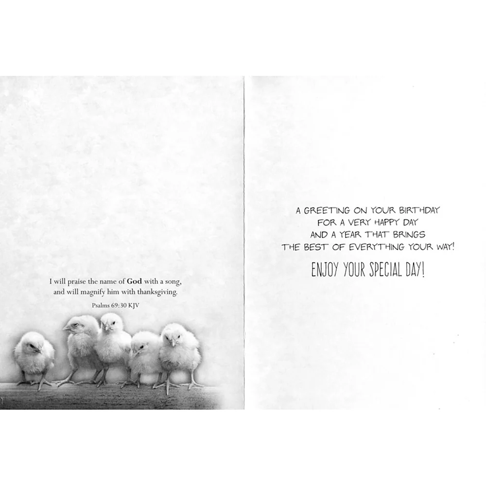 Small Creatures Birthday Boxed Cards FT22576 - Image 9