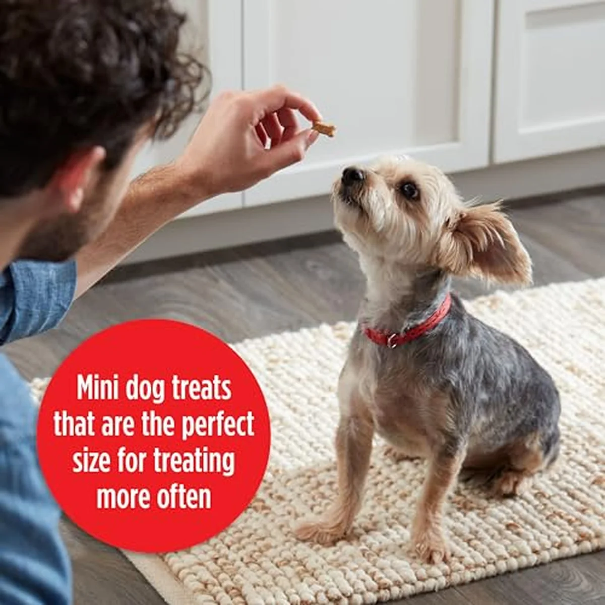 Soft & Chewy Mini�s Dog Treats Made with Real Chicken 18 oz - Image 4