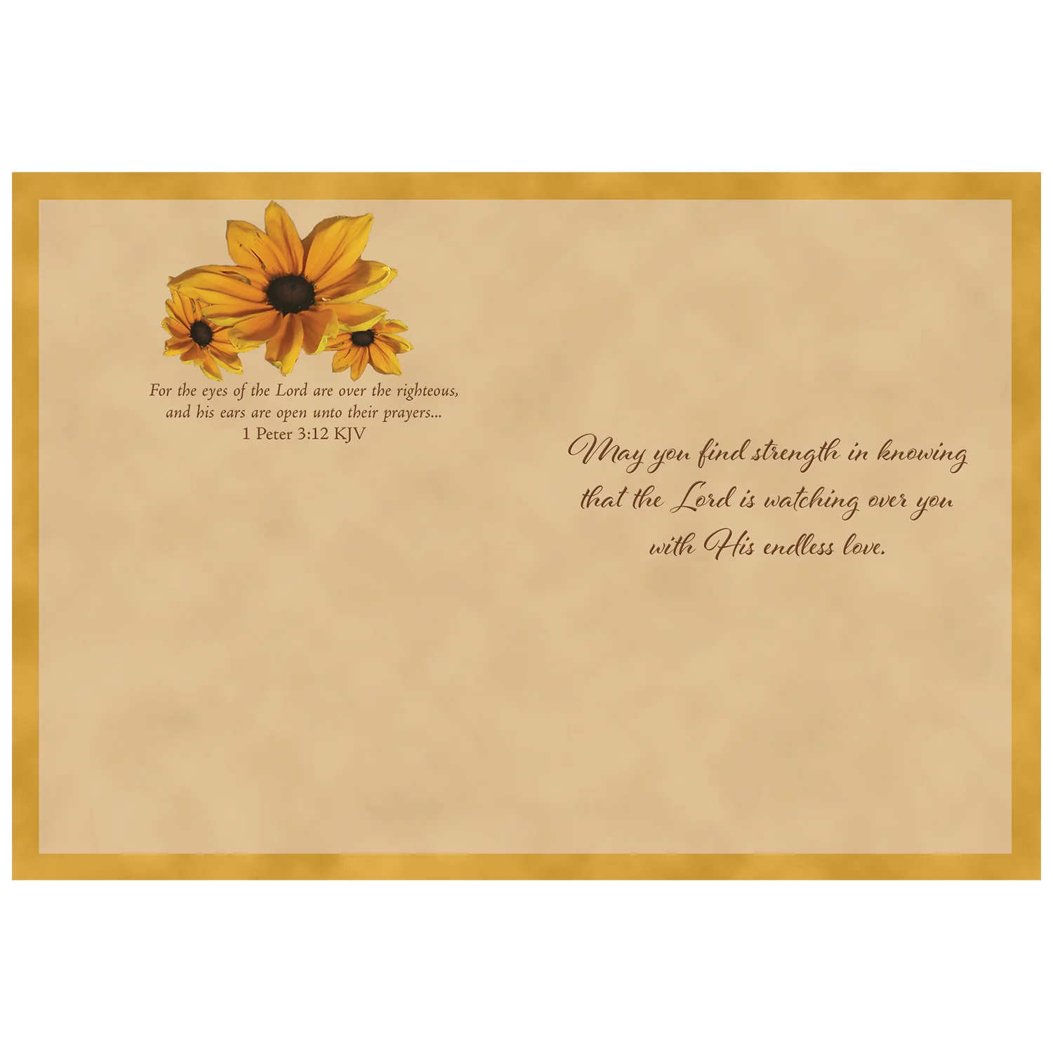 Summer days Thinking of You Boxed Cards FT22721 - Image 7