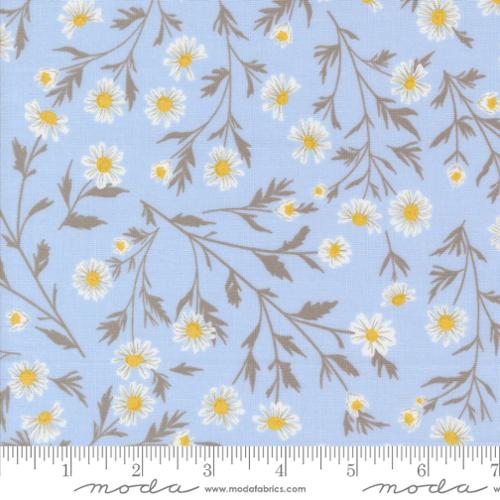 Sun Drenched Collection Wild Daisy Cotton Fabric 43200 - Image 3