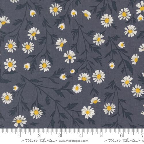 Sun Drenched Collection Wild Daisy Cotton Fabric 43200 - Image 4