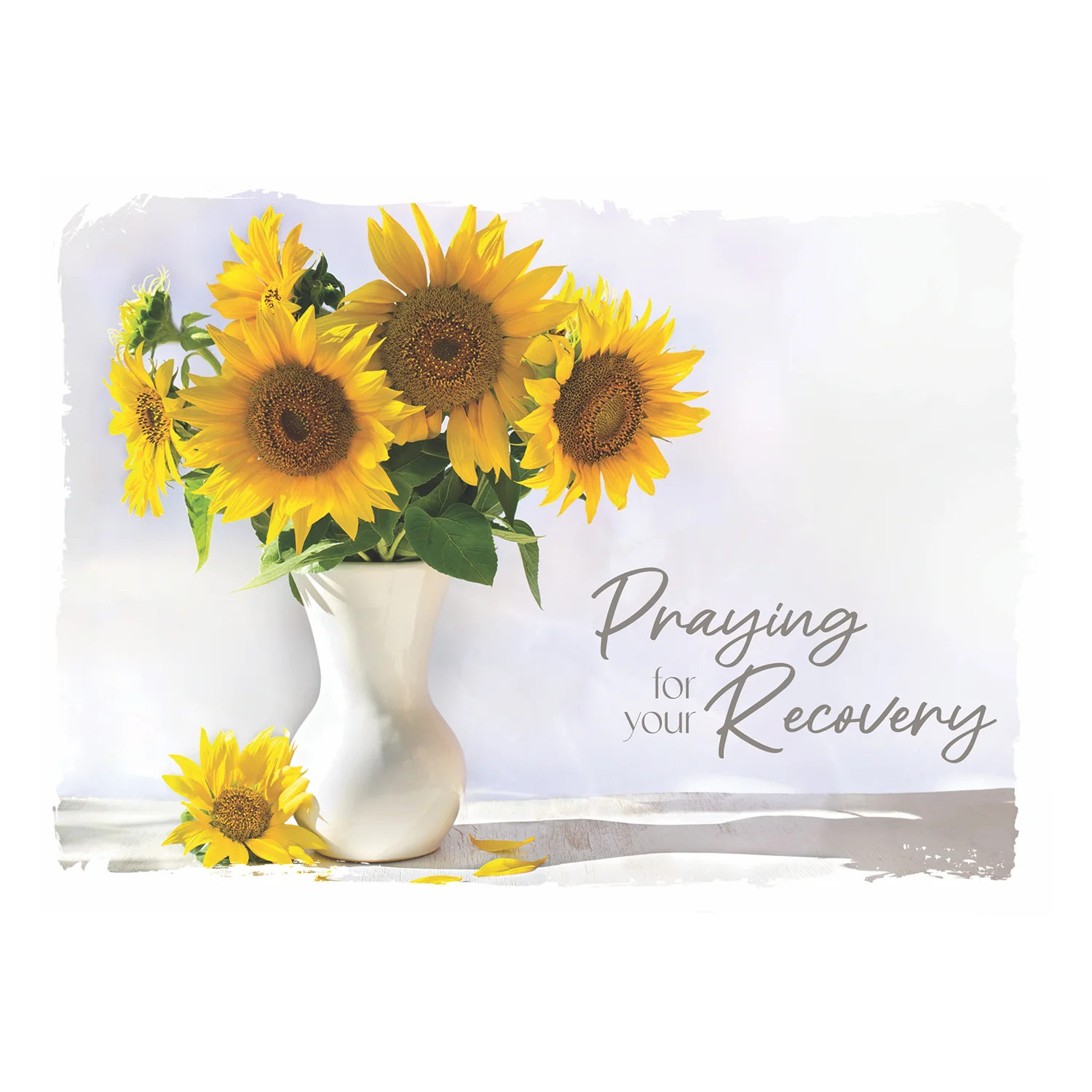 Sunflowers Get Well Boxed Cards FT22731 - Image 2