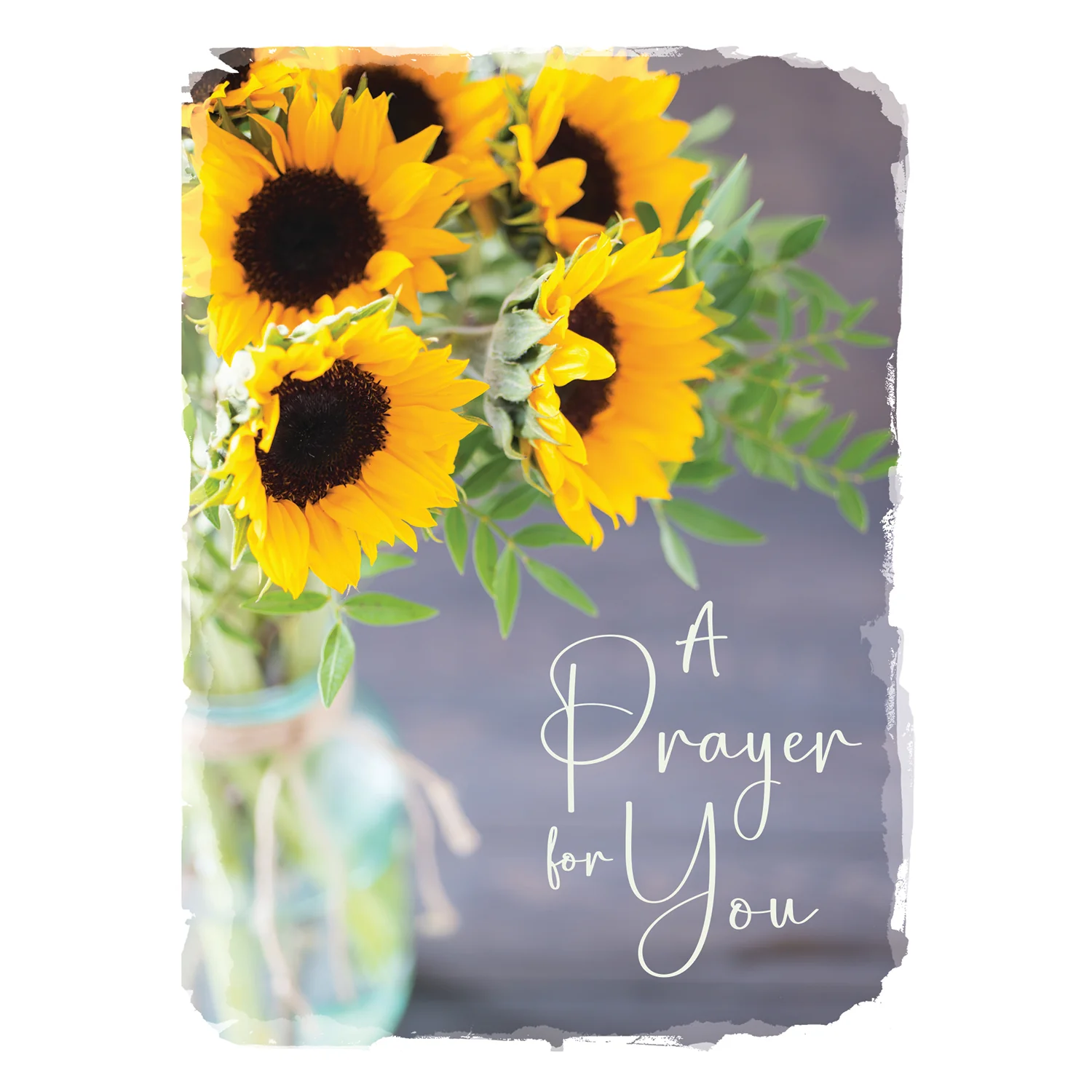 Sunflowers Get Well Boxed Cards FT22731 - Image 4