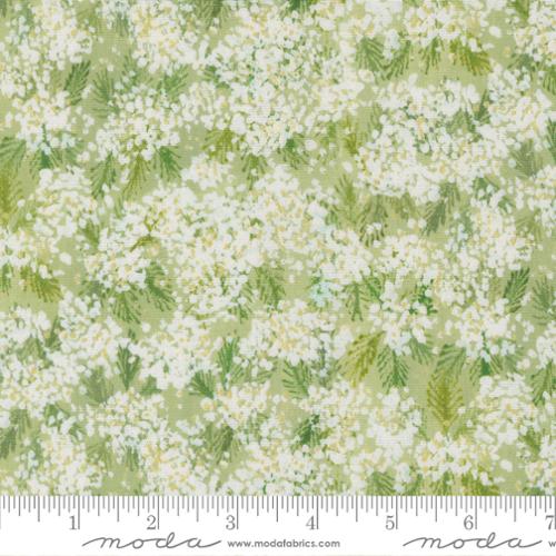 Sweet Cecily Collection Queen Anne Floral Cotton Fabric 24642 - Image 2