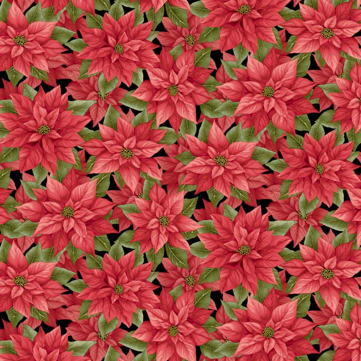 Sweet Christmas Memories Collection Poinsettia Cotton Fabric 3619 - Image 2