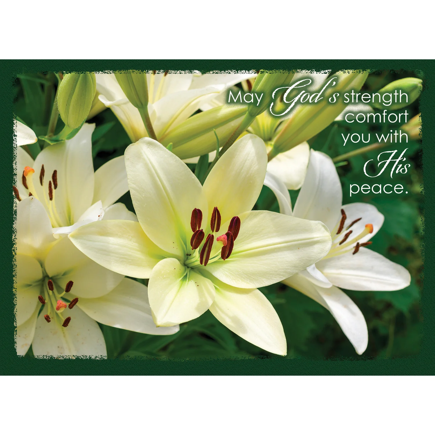 Sympathy Lilies Boxed Cards SBEG22185 - Image 2