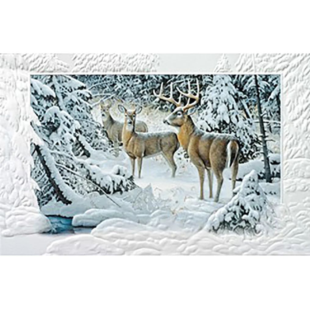 The Edge Of Light Christmas Boxed Cards 98495