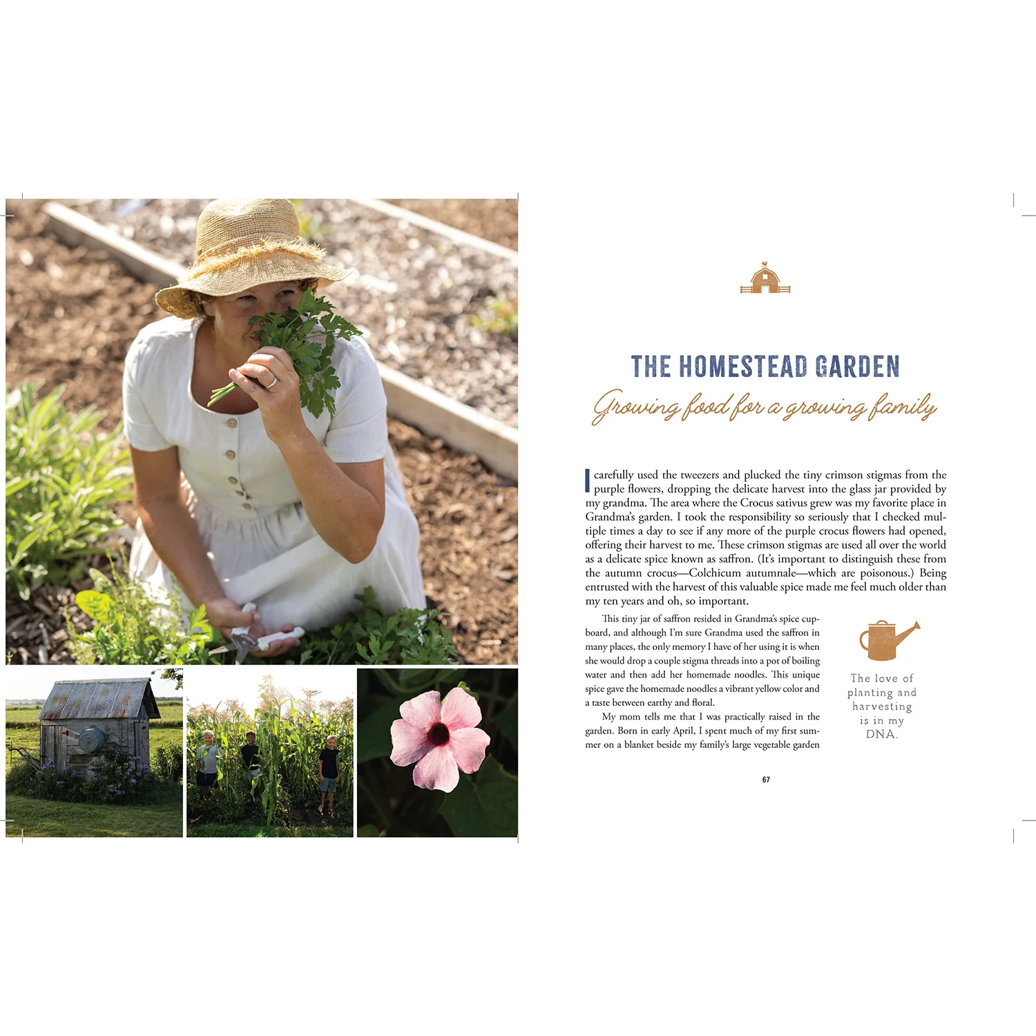 The Heart of the Homestead Book by RuthAnn Zimmerman 89763 - Image 6