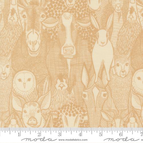 The Henhouse Collection Barnyard Faces Cotton Fabric 48431