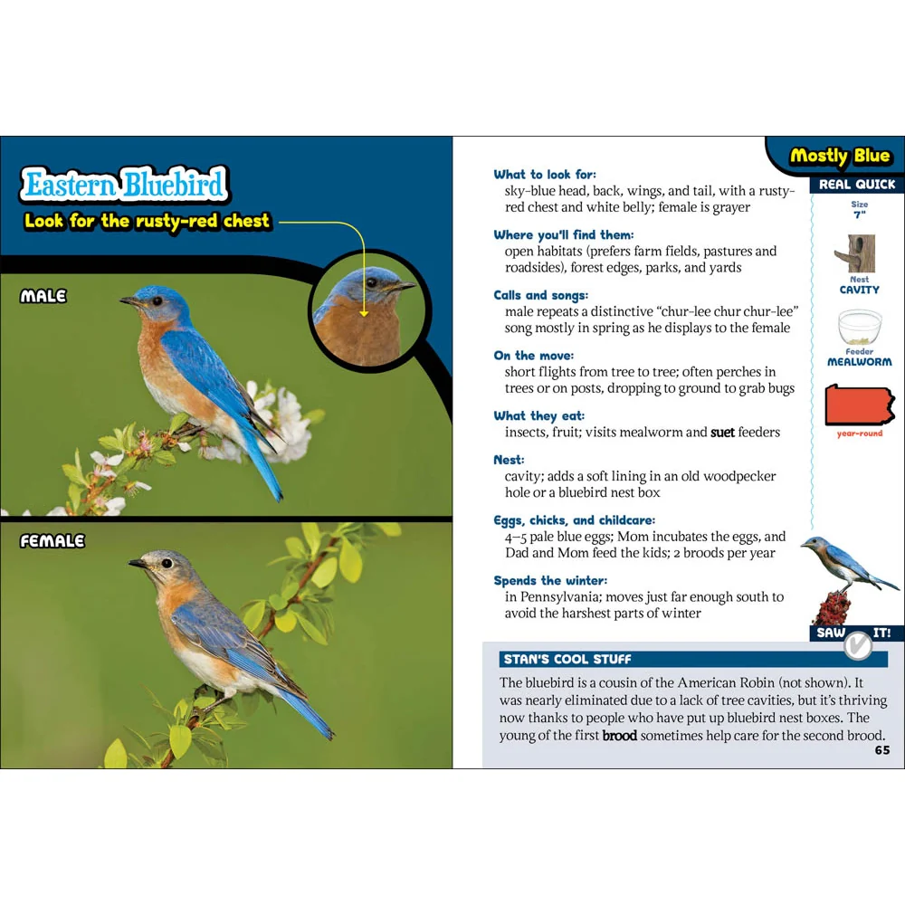 The Kids' Guide to Birds of Pennsylvania 9781647553647 - Image 2