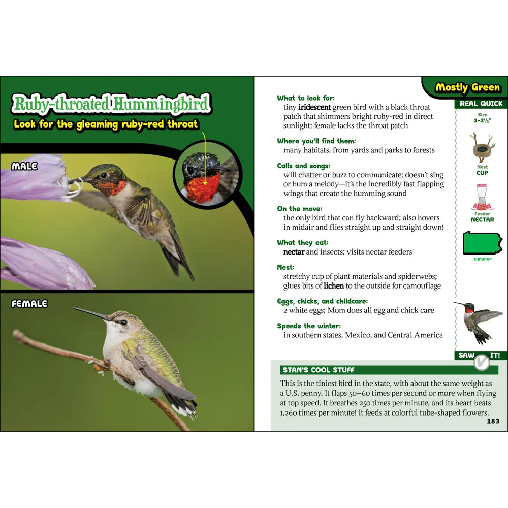 The Kids' Guide to Birds of Pennsylvania 9781647553647 - Image 3