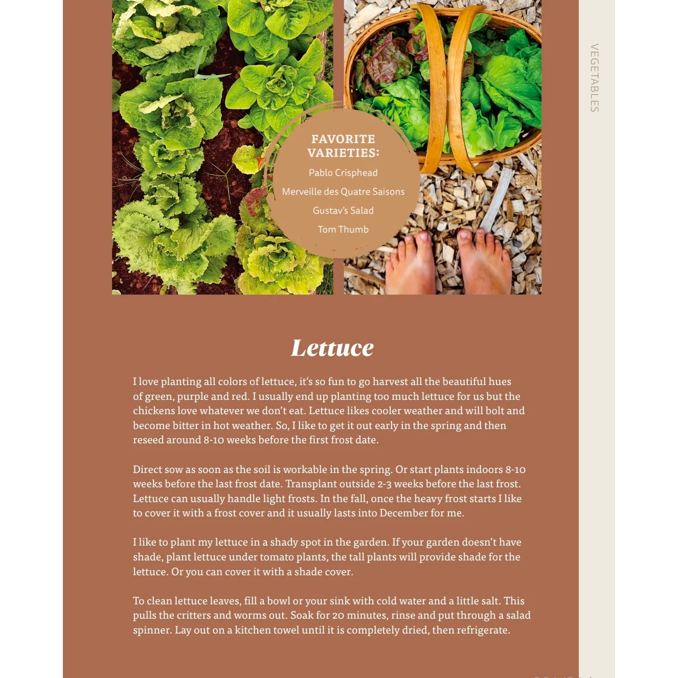 The Nourishing Harvest - Image 19