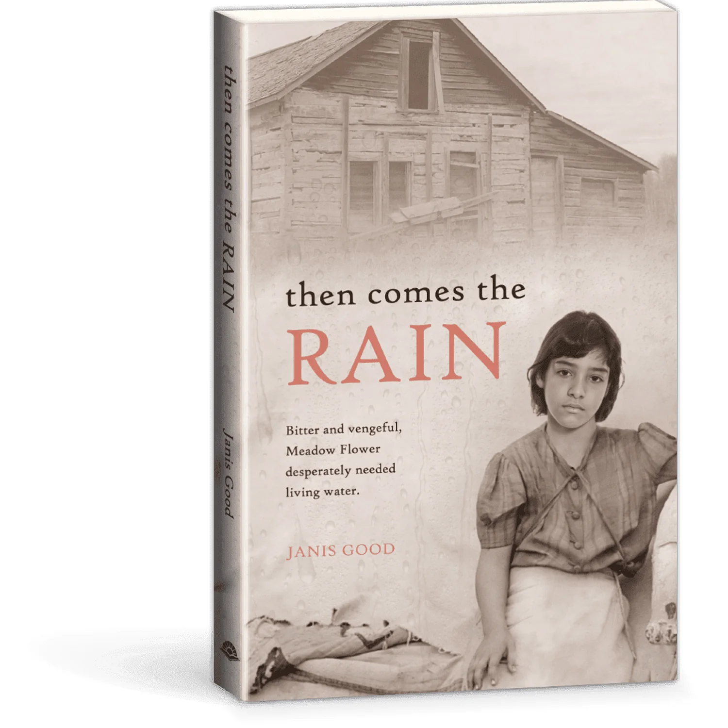Then Comes The Rain by Janis Good UPC 9780878133505