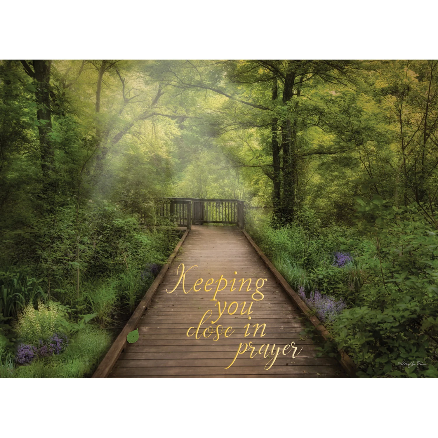 Thinking of You Peaceful Paths Boxed Cards SBEG22356 - Image 6
