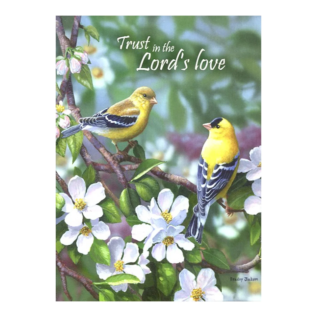 Thinking of You Signs of Spring Boxed Cards SBEG22533 - Image 2