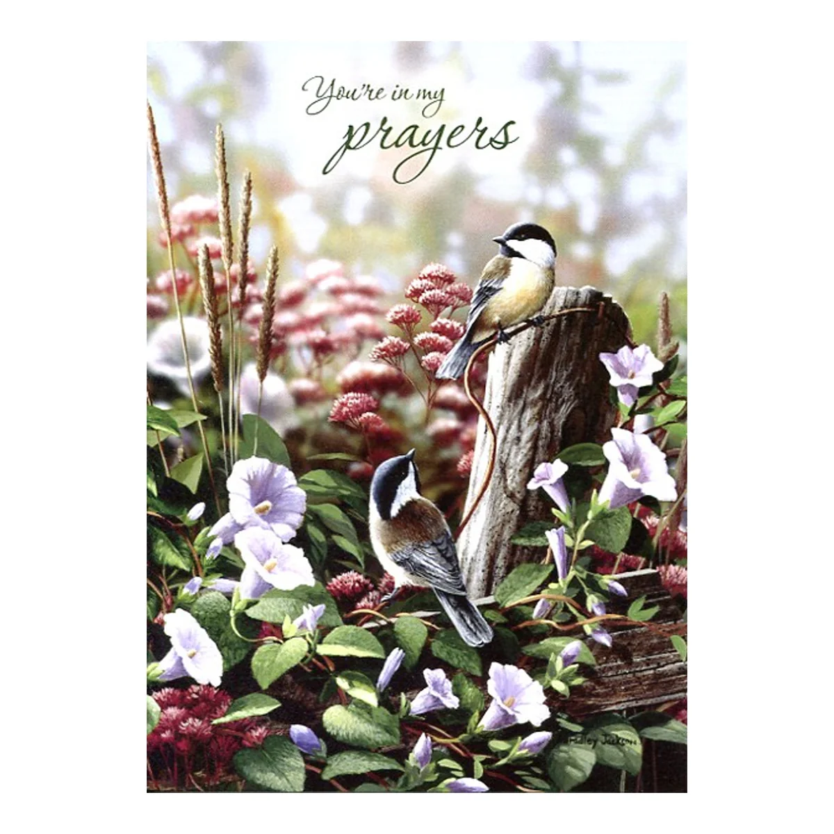 Thinking of You Signs of Spring Boxed Cards SBEG22533 - Image 8