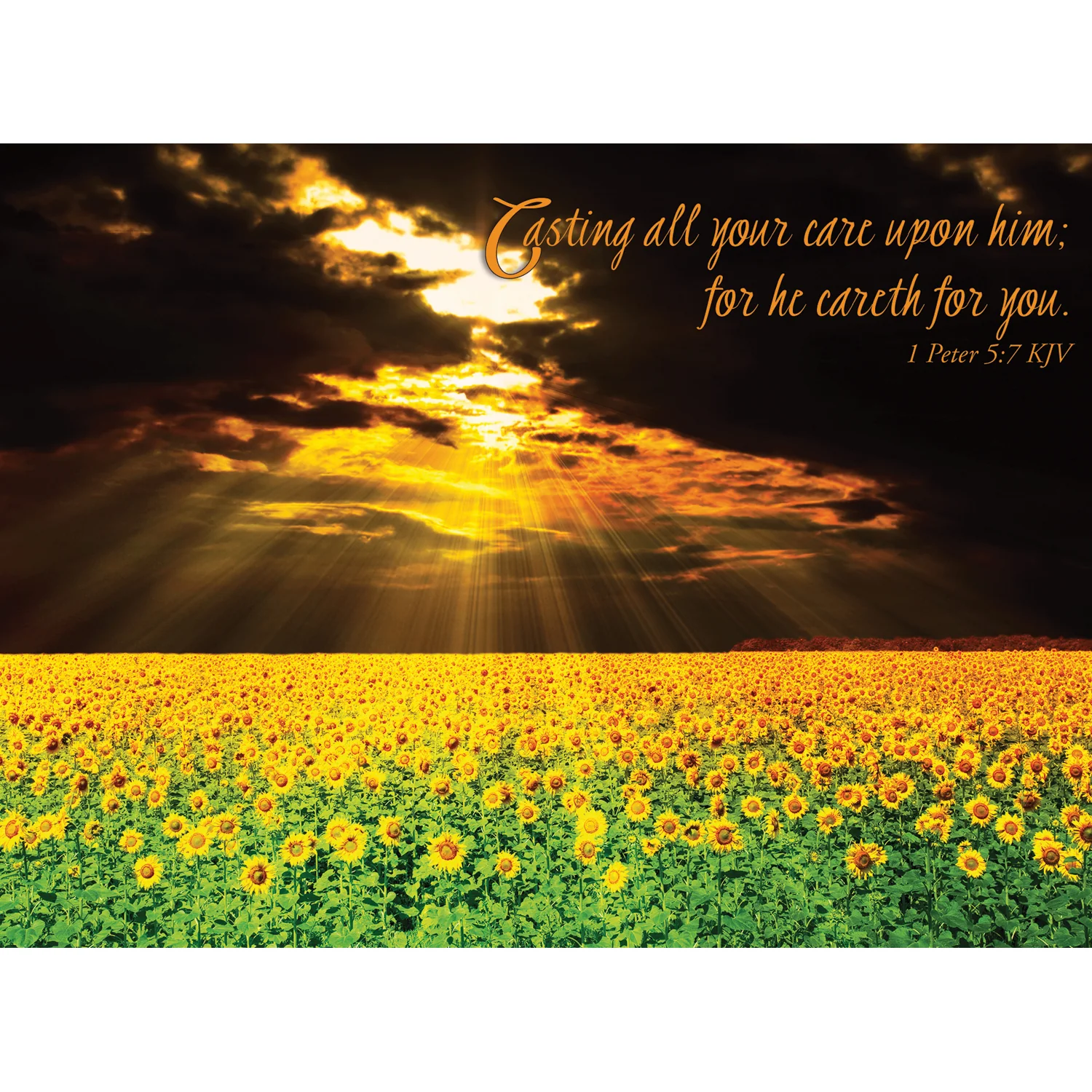 Thinking of You Sunsets Boxed Cards SBEG22361 - Image 2
