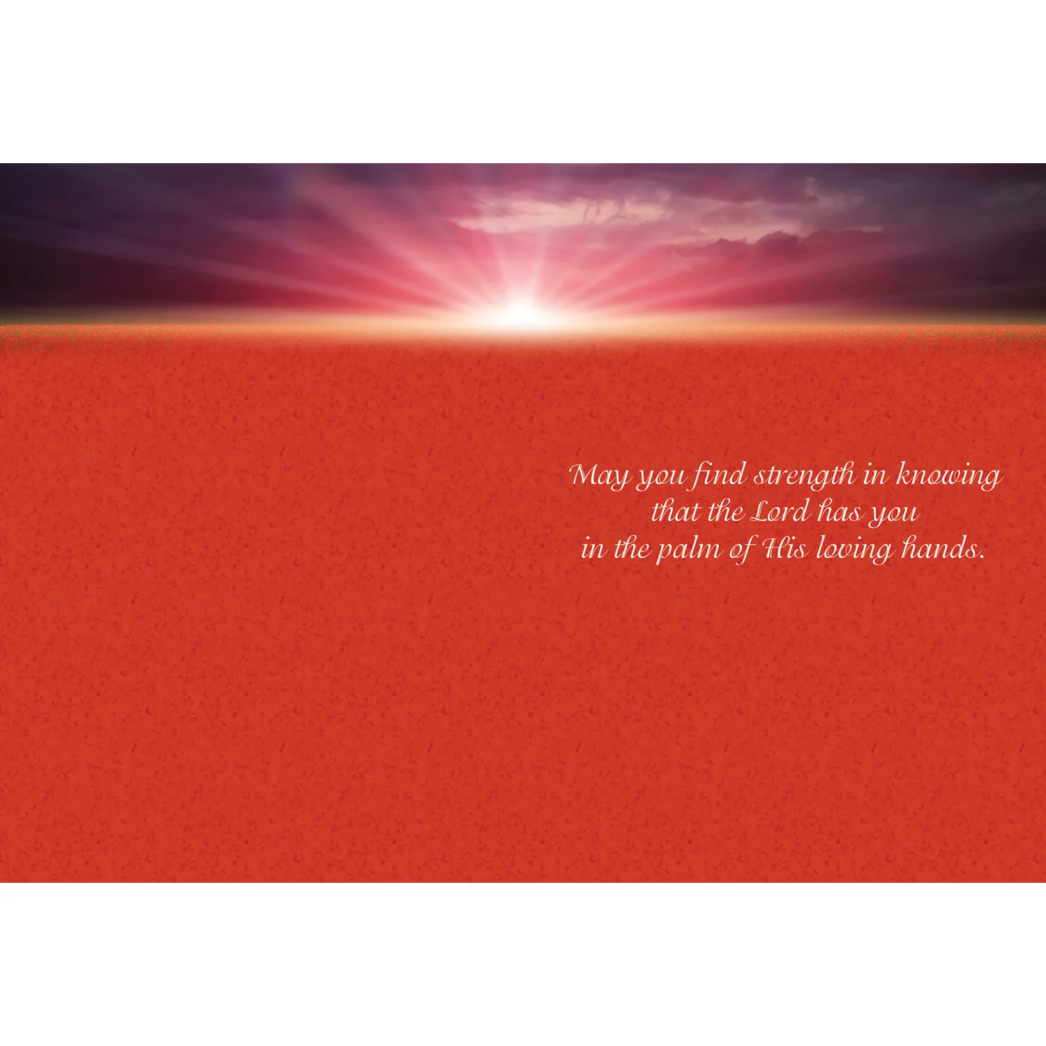 Thinking of You Sunsets Boxed Cards SBEG22361 - Image 5