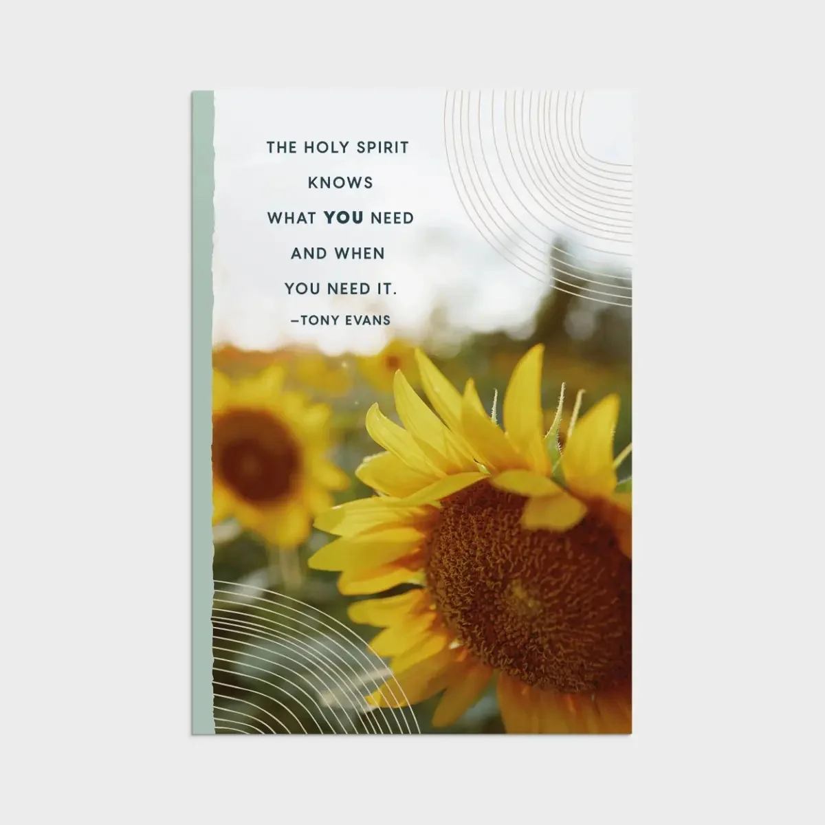 Tony Evans - Praying for You - 12 Boxed Cards and Envelopes U3102 - Image 4