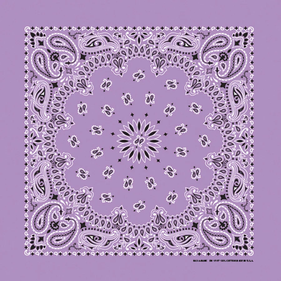 Traditional Paisley Handkerchief Bandanas - Image 3