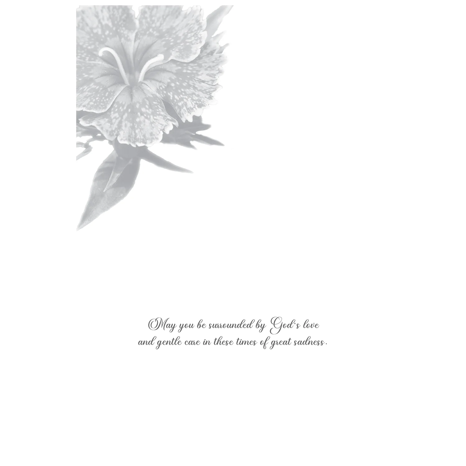 Tranquility Sympathy Boxed Cards FT22691 - Image 5
