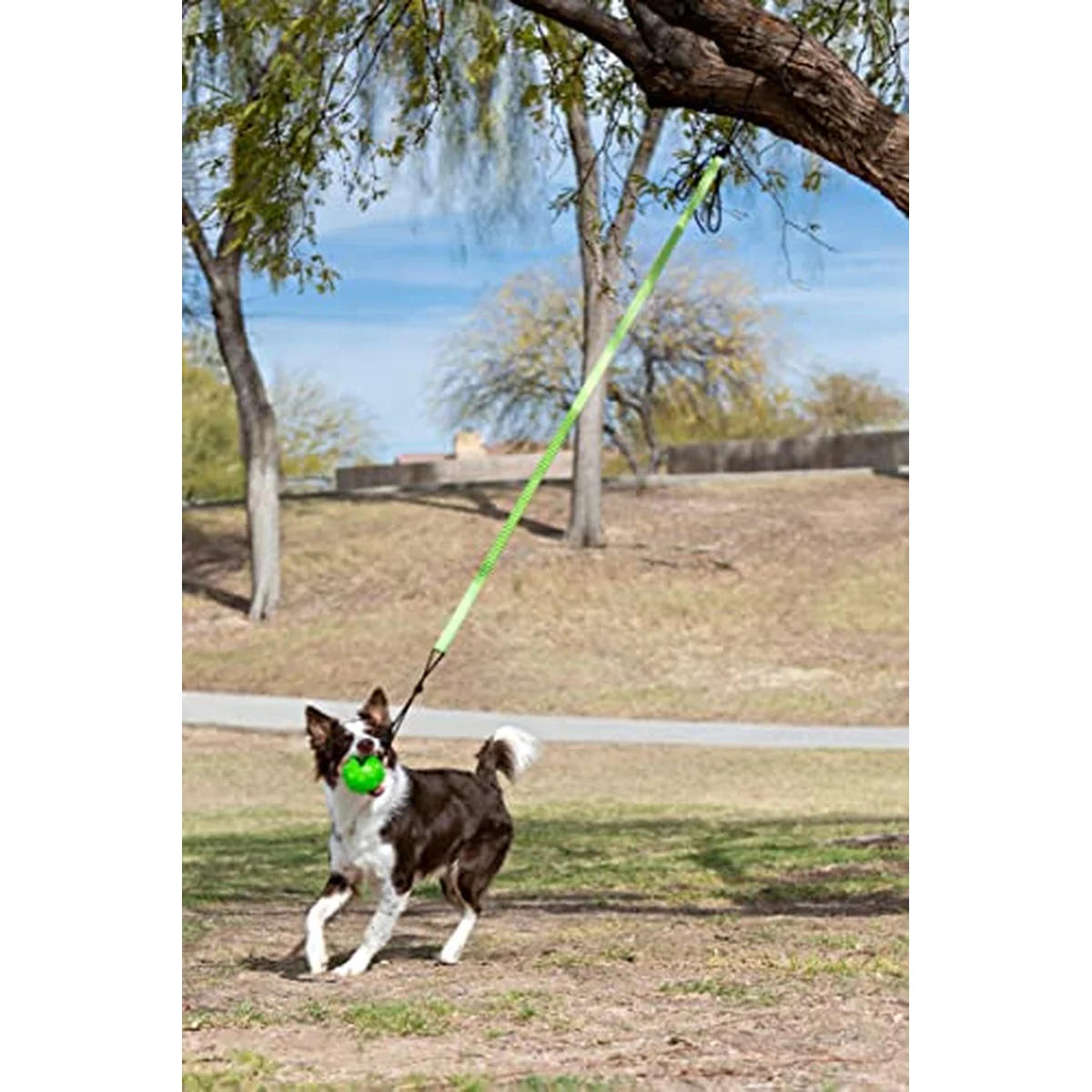 Tree Tugger Bungee Green - Large - Image 4