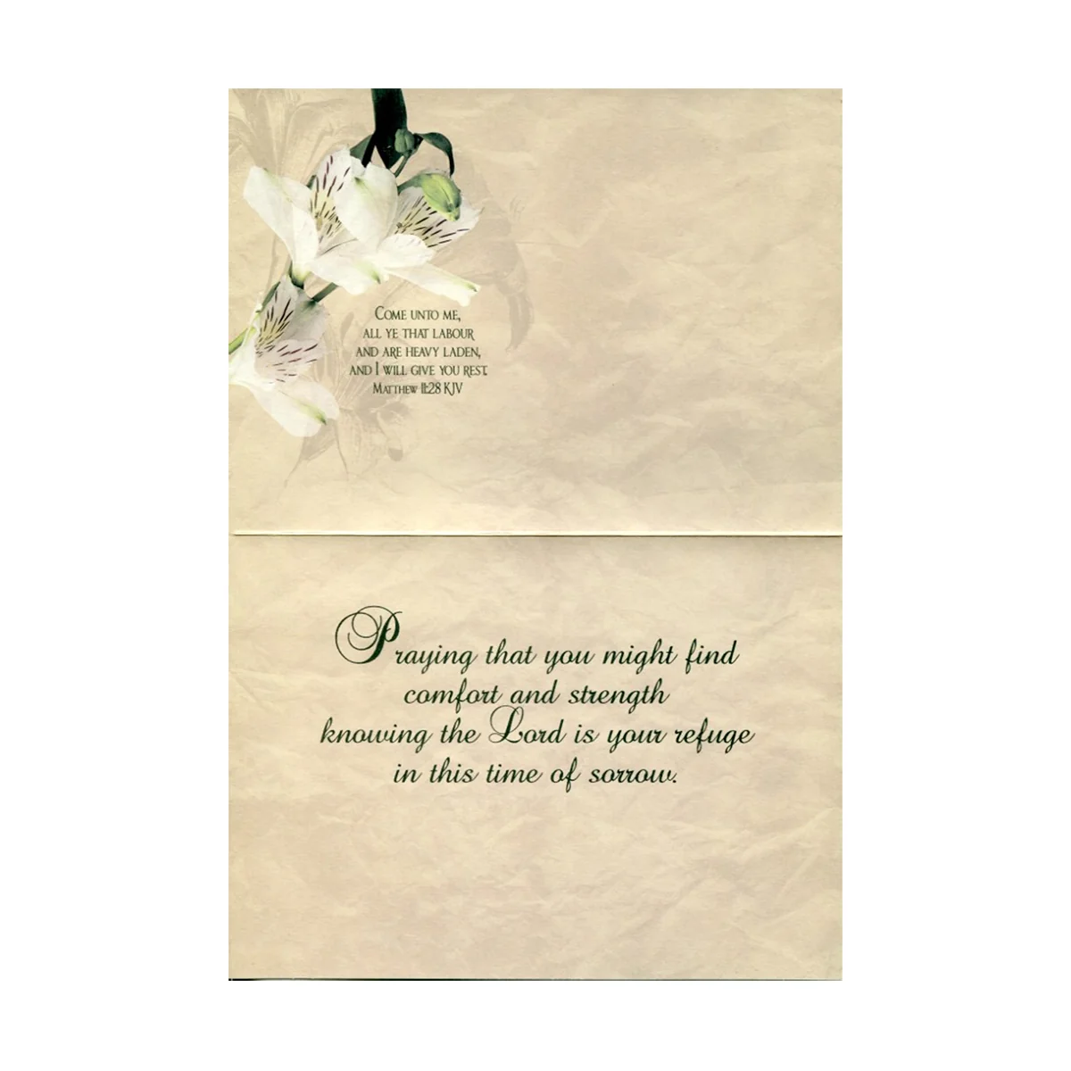 Vintage Floral Sympathy Boxed Cards SBEG22608 - Image 3