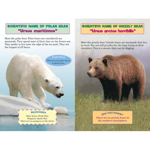 Who Would Win? Polar Bear vs Grizzly Bear 9780545175722 - Image 2
