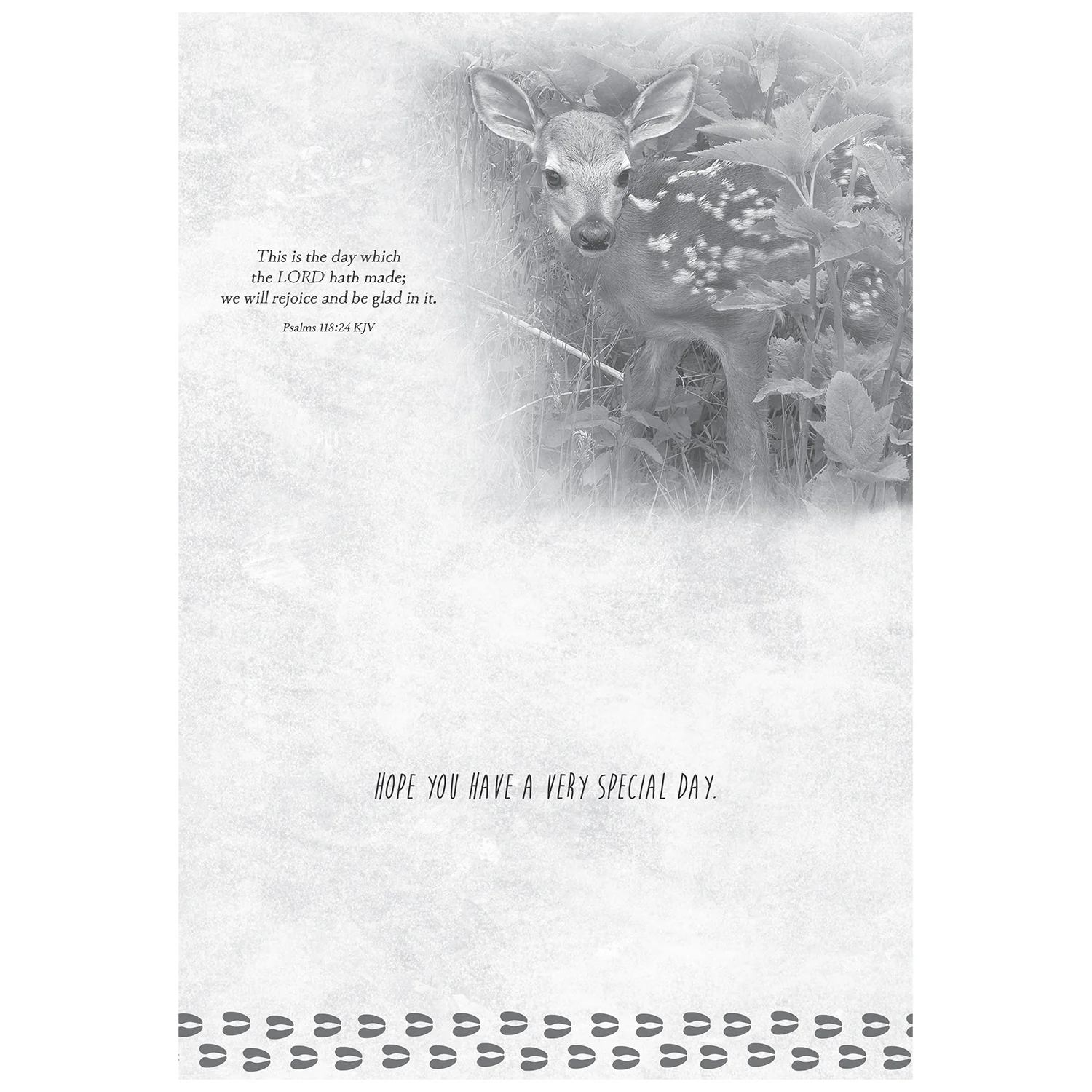 Wild Animals Birthday Boxed Cards FT22688 - Image 3